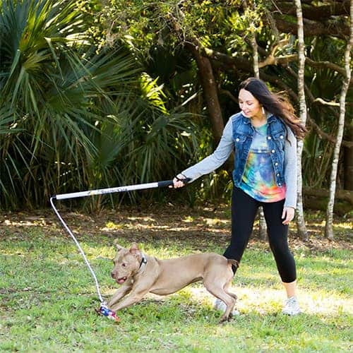 Toys for hyperactive dogs sales