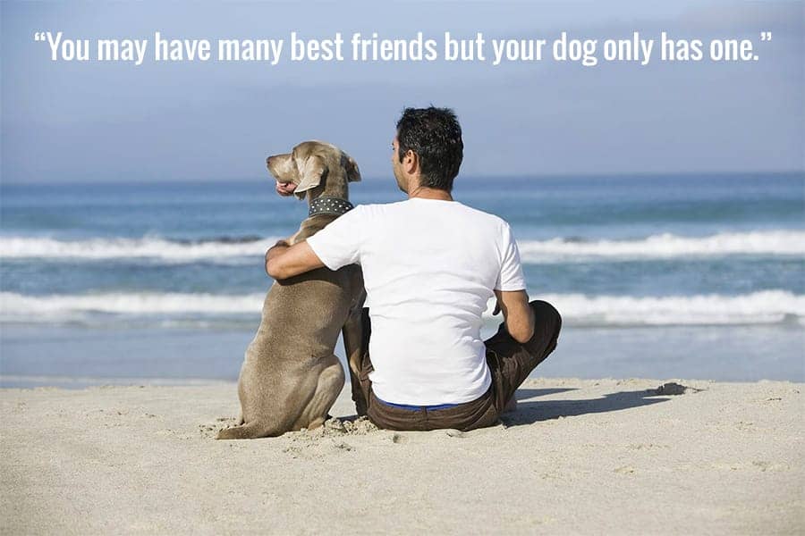 a dog is mans best friend meaning