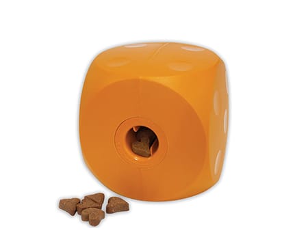 Best Toys for Golden Retrievers - Buster Cube