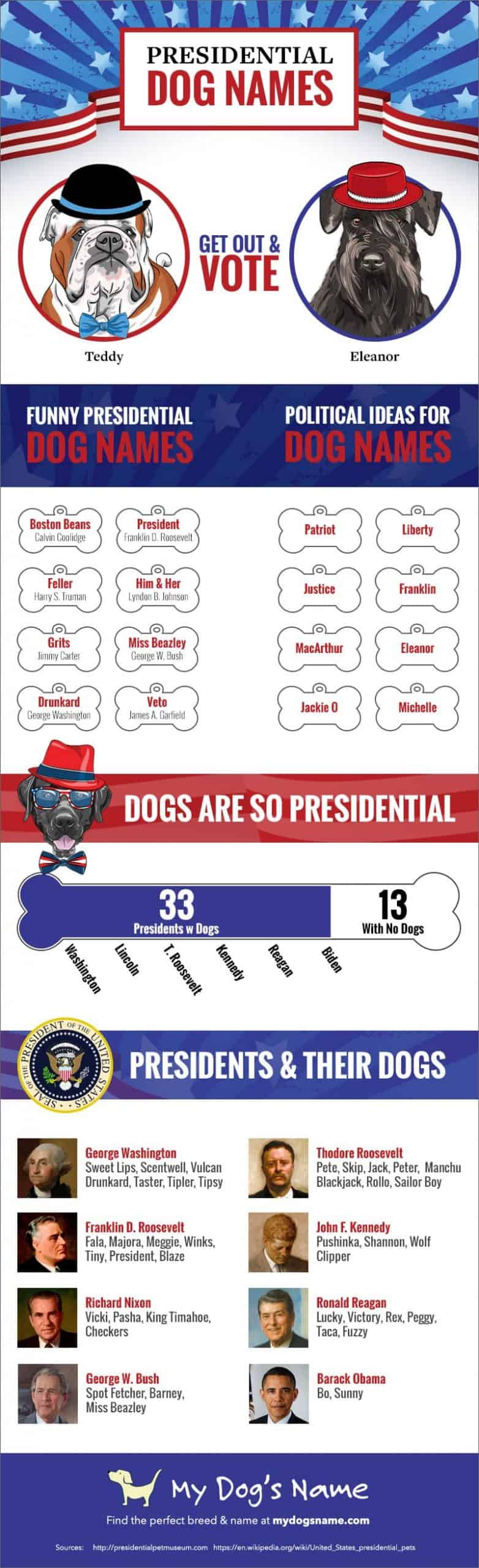 presidential dog names infographic