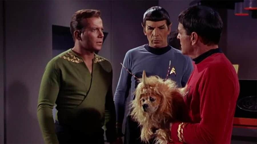 star trek dog names - doc kirk spock dog