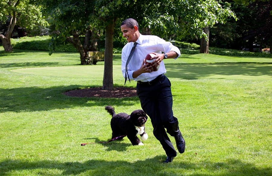 obama with his dog