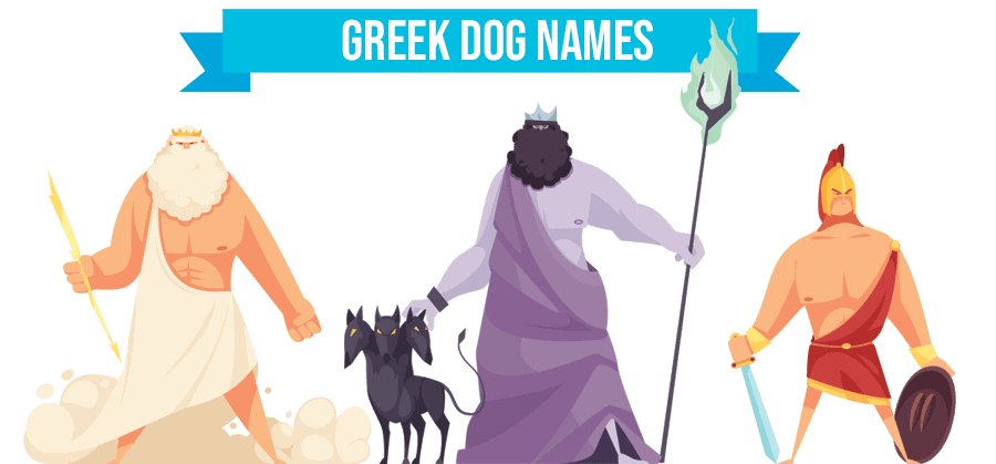 Greek mythology sales dog names