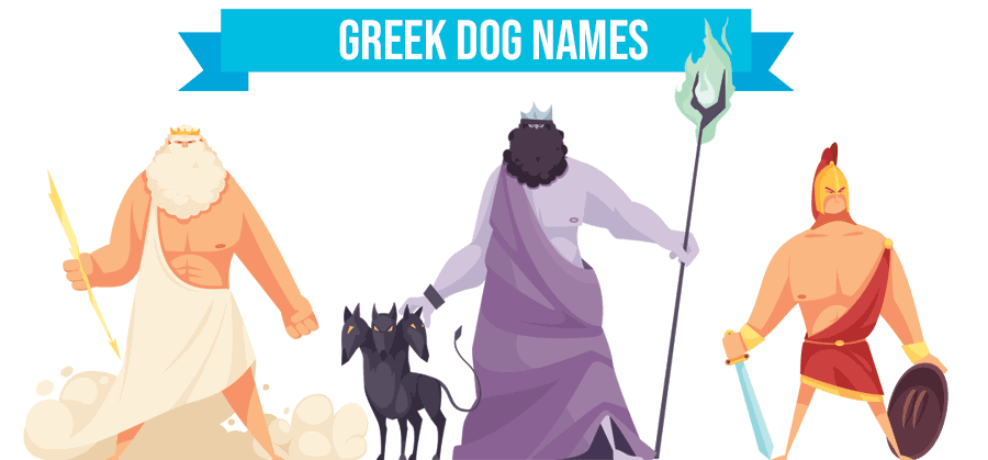 greek dog names illustration of gods