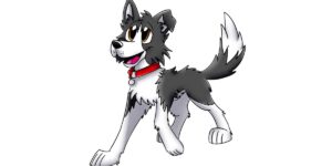 anime border collie dog