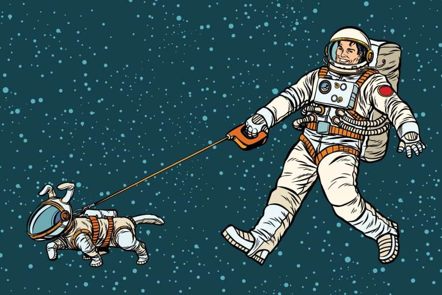perro con astronauta en el espacio