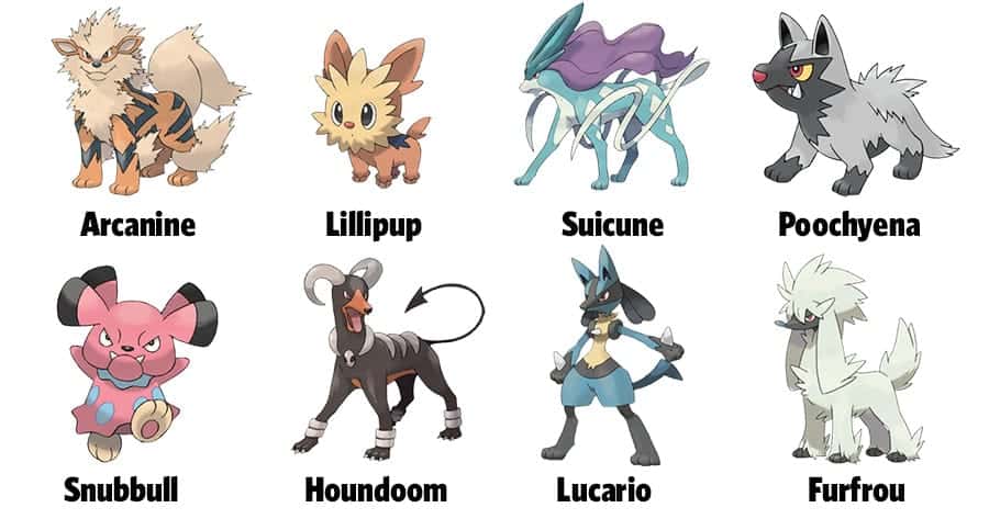 pokemon dog names