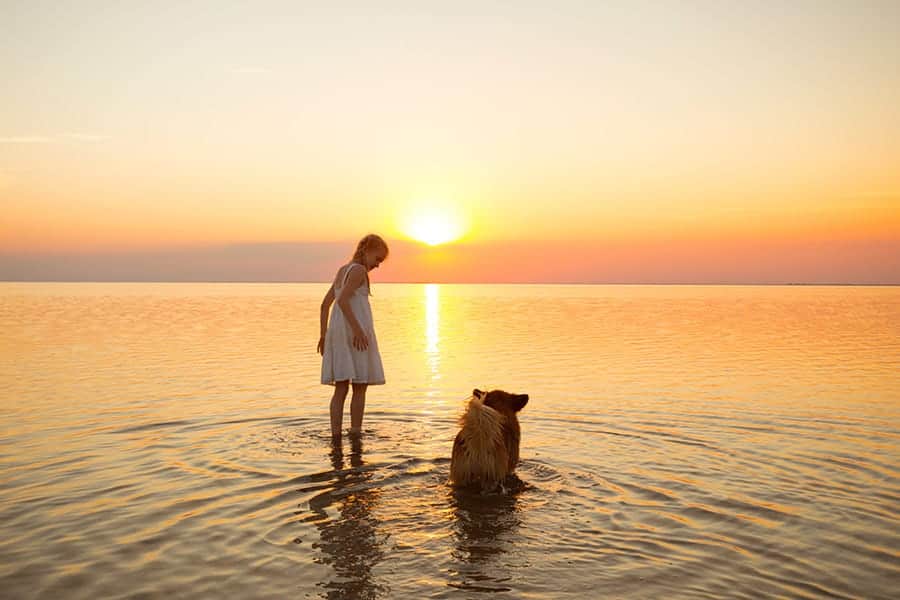 perro y una mujer joven de pie en un lago al atardecer