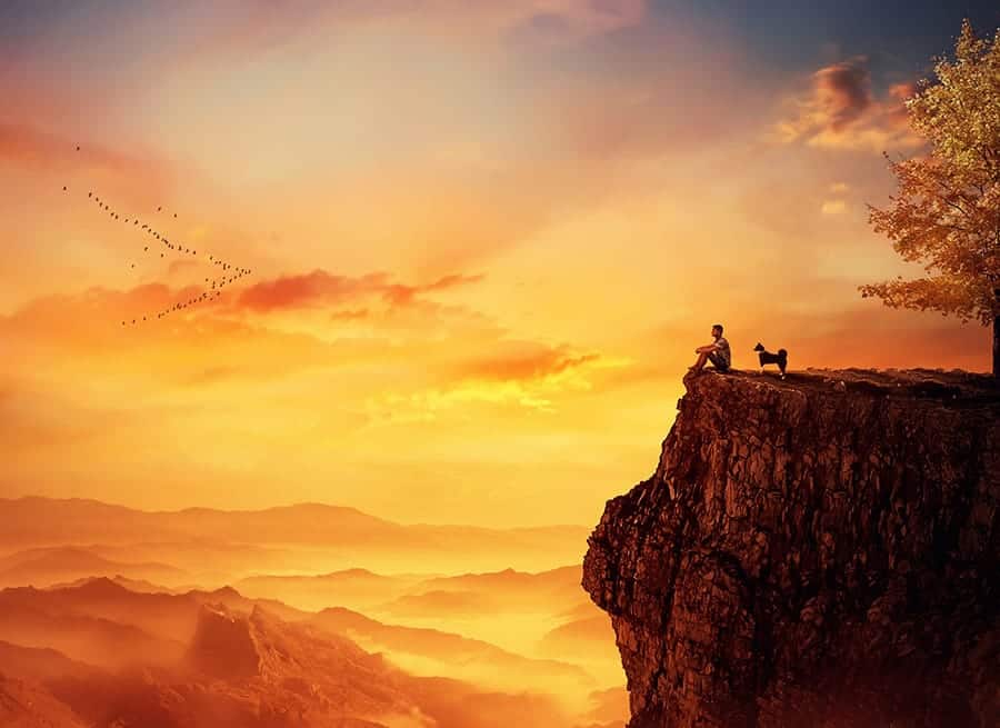 dog and man sitting on cliff