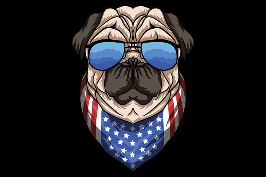 cartoon dog with sunglasses and american flag bandana
