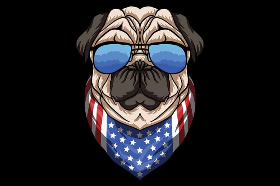 perro de dibujos animados con gafas de sol y pañuelo de bandera americana