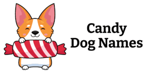 candy dog names feature