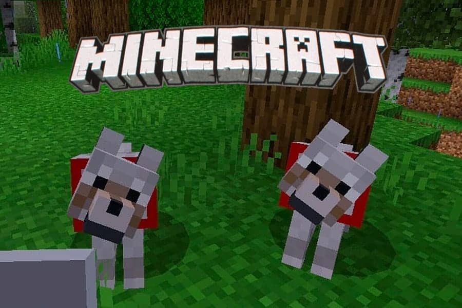 Home -   10 things, Life, Minecraft dogs