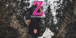 dog names that start with Z