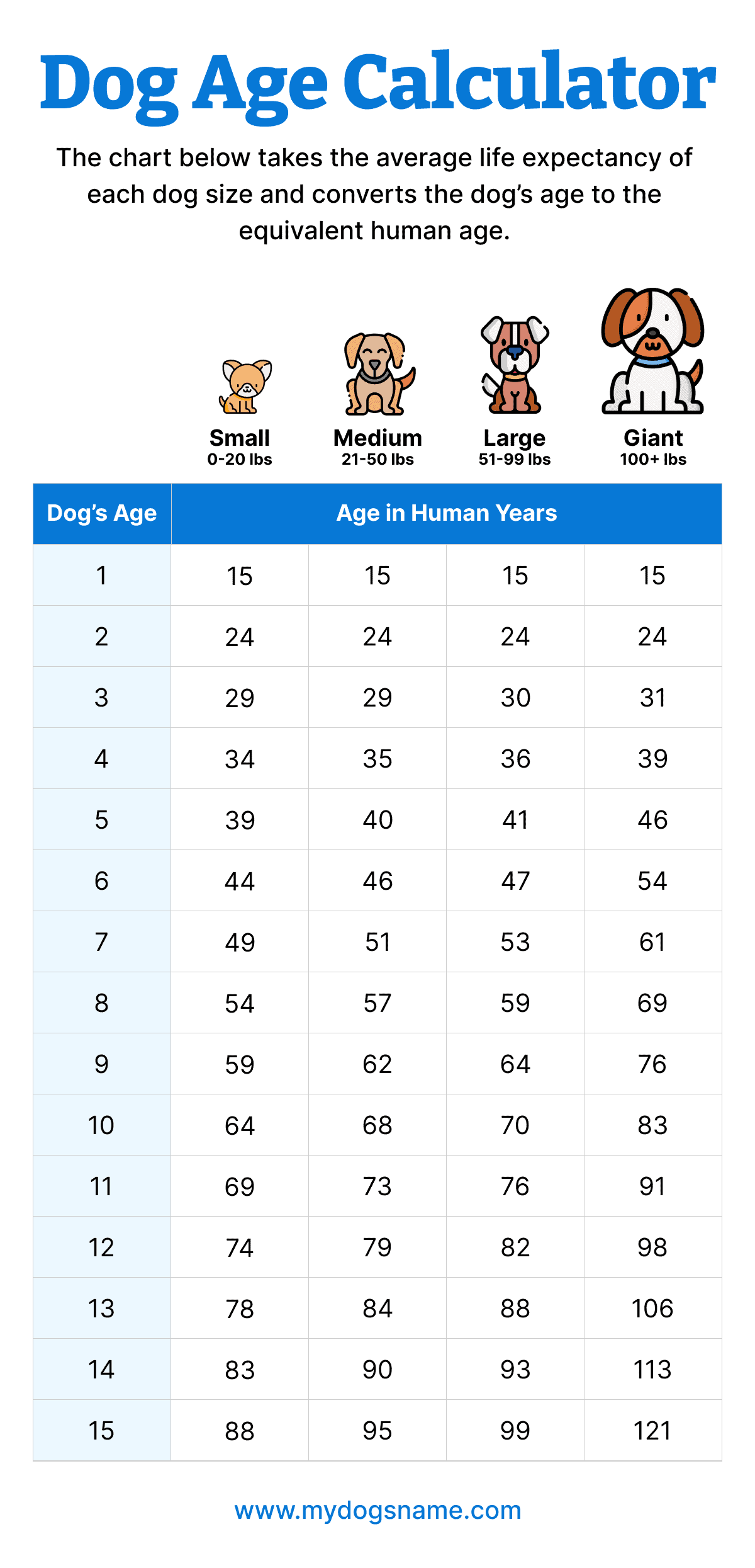 dog age calculator table infographic