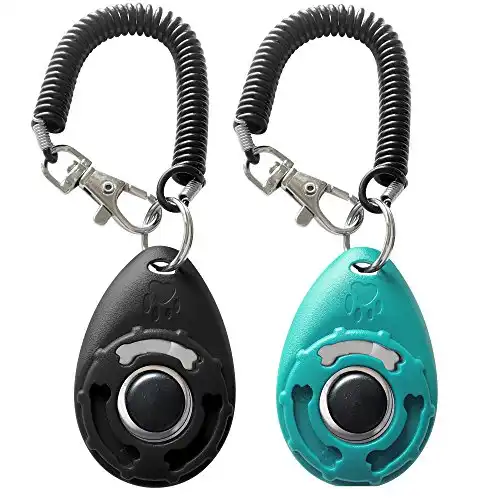 Pet Training Clicker with Wrist Strap